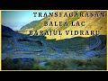 Transfagarasan - Balea Lac - Barajul Vidraru | Transfagarasan Road | Visit Romania