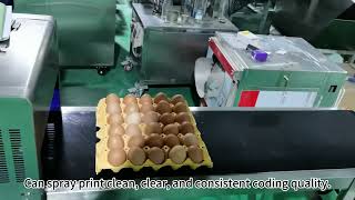 Video of Egg Printer