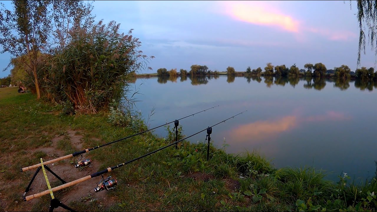 Majdnemhal 2. - 2026.09.06. 19:00 - Látóképi-víztározó