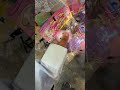 سكوشيات الطريق