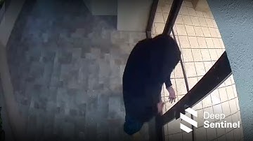 STOPPED by Deep Sentinel #96 - Screwdriver Break-In and Car Lurker STOPPED!