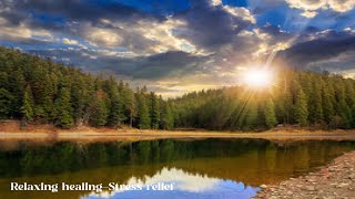 Soothing Sounds to Help You Relax, soothing sounds ❋ Relaxing healing-Stress relief