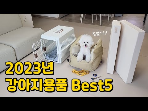 올해 최고의 강아지용품은? 1년동안 가장 만족한 강아지용품 5가지 (100% 내돈내산)