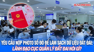 Yêu cầu nộp photo sổ đỏ để làm sạch dữ liệu đất đai: Lãnh đạo Cục Quản lý đất đai nói gì?