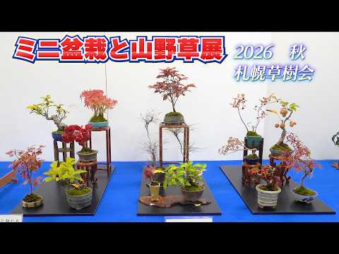 2026 秋のミニ盆栽と山野草展 by 札幌草樹会 豊平公園緑のセンター