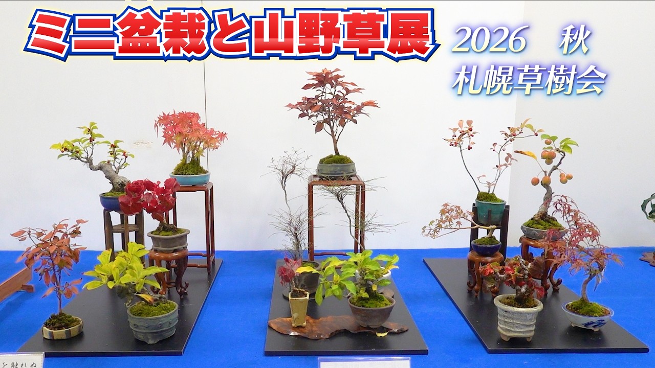 2026 秋のミニ盆栽と山野草展 by 札幌草樹会 豊平公園緑のセンター