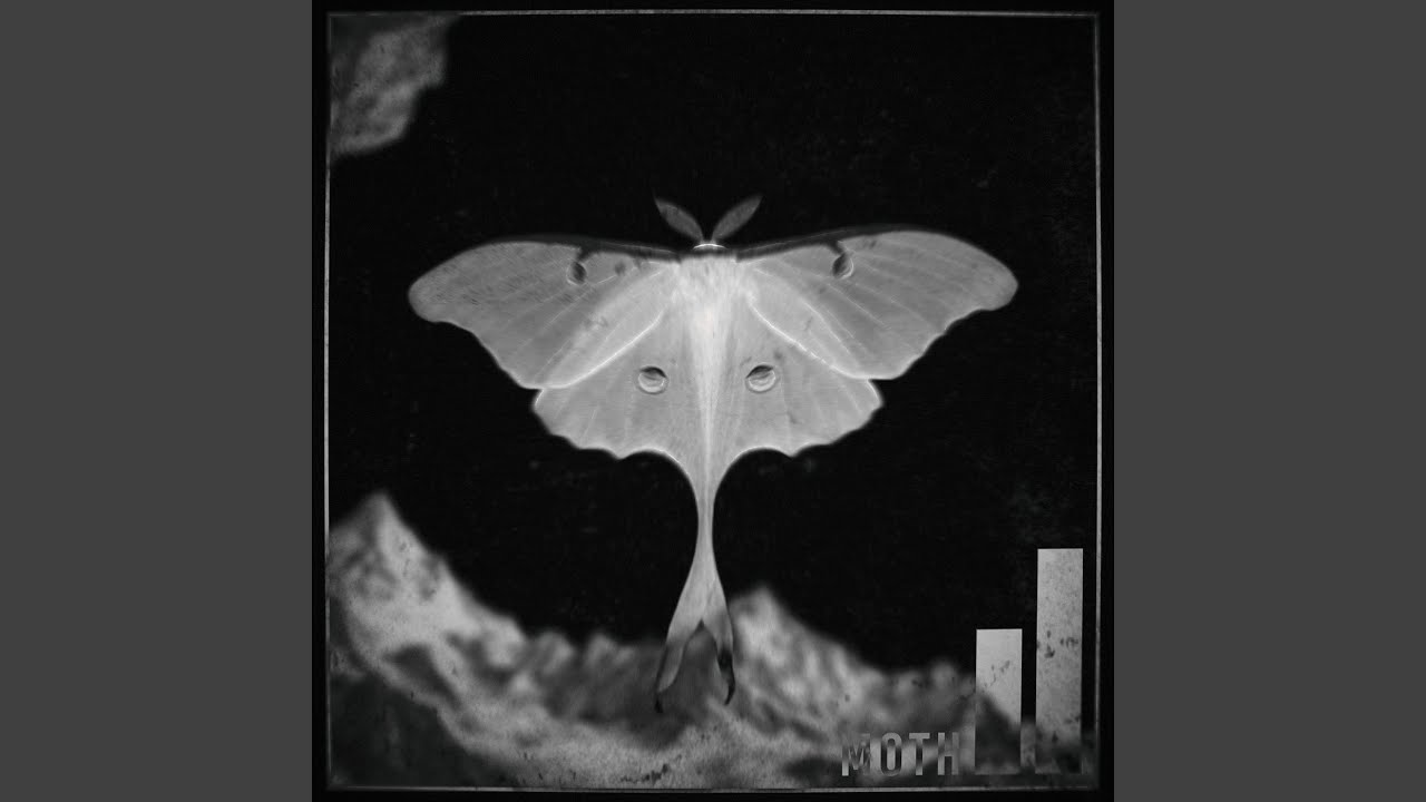 Παρακολούθηση Moth στο YouTube Παρακολούθηση Moth στο YouTube