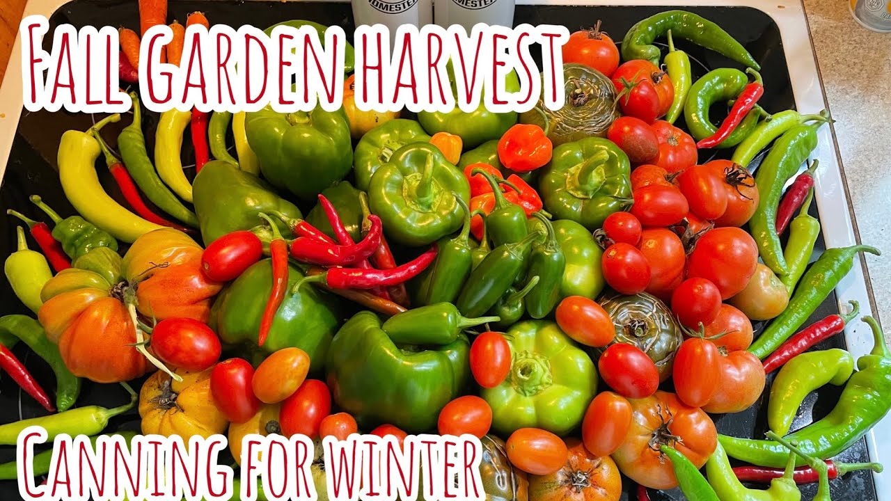 Fall Garden Harvest - YouTube