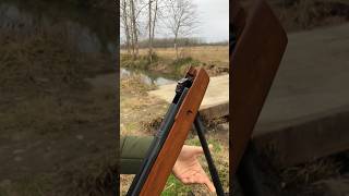 Download Lagu Senapan angin yang akurat dan indah | Suara tembakan MP3