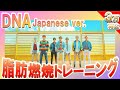 ＜３万再生‼️＞ BTS『DNA』に合わせてノリノリで全身の脂肪全て燃焼させちゃいたいなぁ🔥【有酸素運動　全身痩せ　ダイエット　くびれ　美脚　美尻】