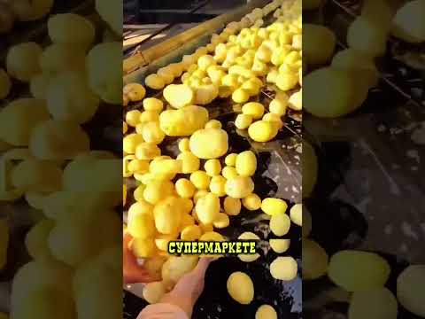 Как БЕЛАРУСЬ зарабатывает дважды с одного поля ???