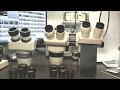 Выбор микроскопа. SMZ-1 vs OLYMPUS SZ3060 vs OLYMPUS SZ4045