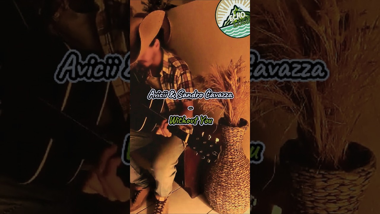 Without You – Avicii (Cover acoustique) 🎤🇷🇪 | Ma première reprise musicale ! - EchoLogik 🌍