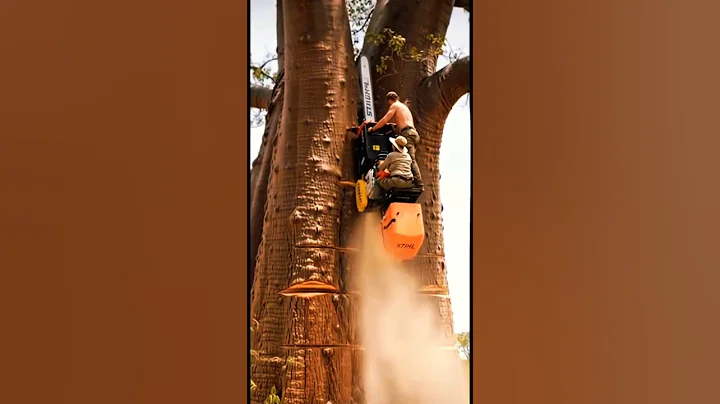 POV: When the Chainsaw Fails and the Tree Fights Back! 🌲💀😵😨#shorts#chainsaw #epicmoments#wtf#fail
