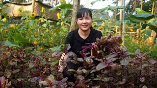 Amy harvests red spinach, sows new seeds, takes care of chicken flock. Farm work