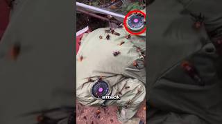 Why You Should NEVER Jump Into Water When Bees Attack You?