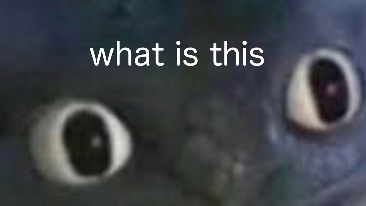 how do you get the light fury in school of dragons how do you get the light fury in school of dragons