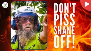 DON'T PISS SHANE OFF! - SHANE INTERVIEW - SHANES TREES