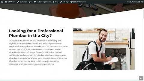 One click demo import your theme shop WordPress theme tutorial