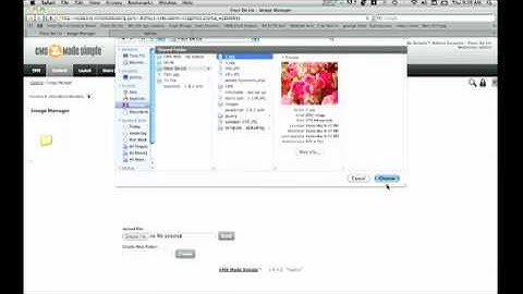 Editing Content and Adding Images in CMSMS
