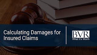 Calculating Damages for Insured Claims symposium clip (2013)