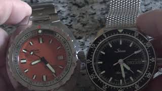 Doxa VS Sinn who makes the Ultimate Tool Watches ?