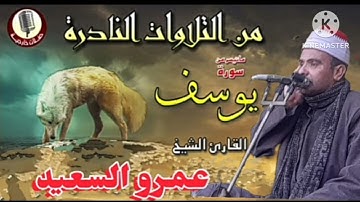 الشيخ عمرو السعيد القارئ بجمهورية مصر العربية ماتيسر من سوره يوسف 🎤🎶 تلاوه رائعه