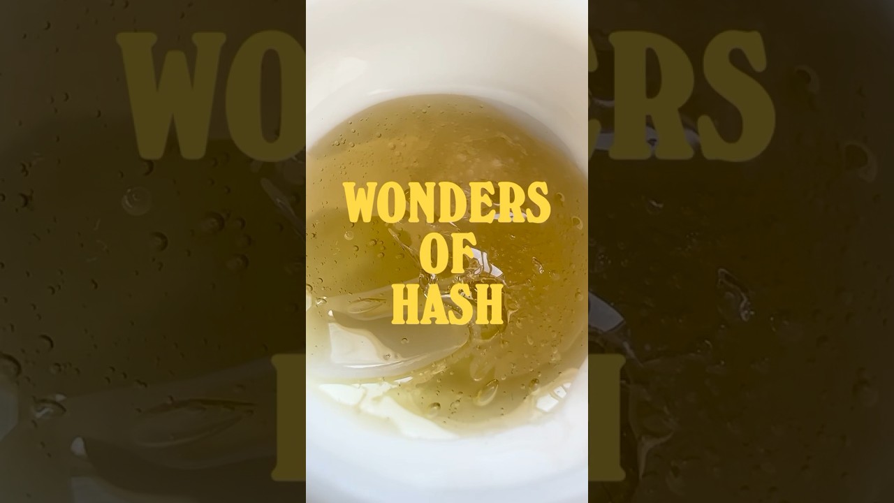 The Wonders of Hash 