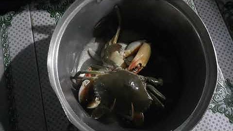 Cua biển hấp nước dừa