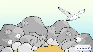 Natural Selection Mice Video