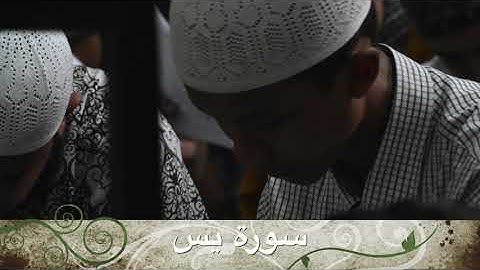 Yaseen يس | مقطع تنويم الأطفال مع القران الكريم | بدون اعلانات |