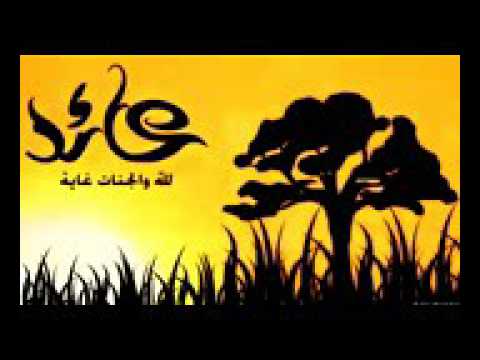 قصة مجاهد الشيخ خالد الراشد 