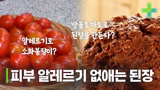 방울토마토로 된장을 만든다? 피부 알레르기 낫게 한 방울토마토 된장!