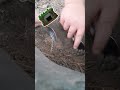 day 8 of digging a secret bunker