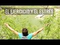 Cómo el ejercicio reduce el estrés | Health Coaching