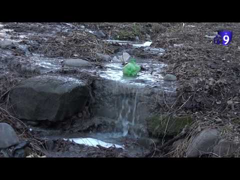 ცენტრალური სტადიონის მიმდებარე ტერიტორია კანალიზაციის წყლით იტბორება