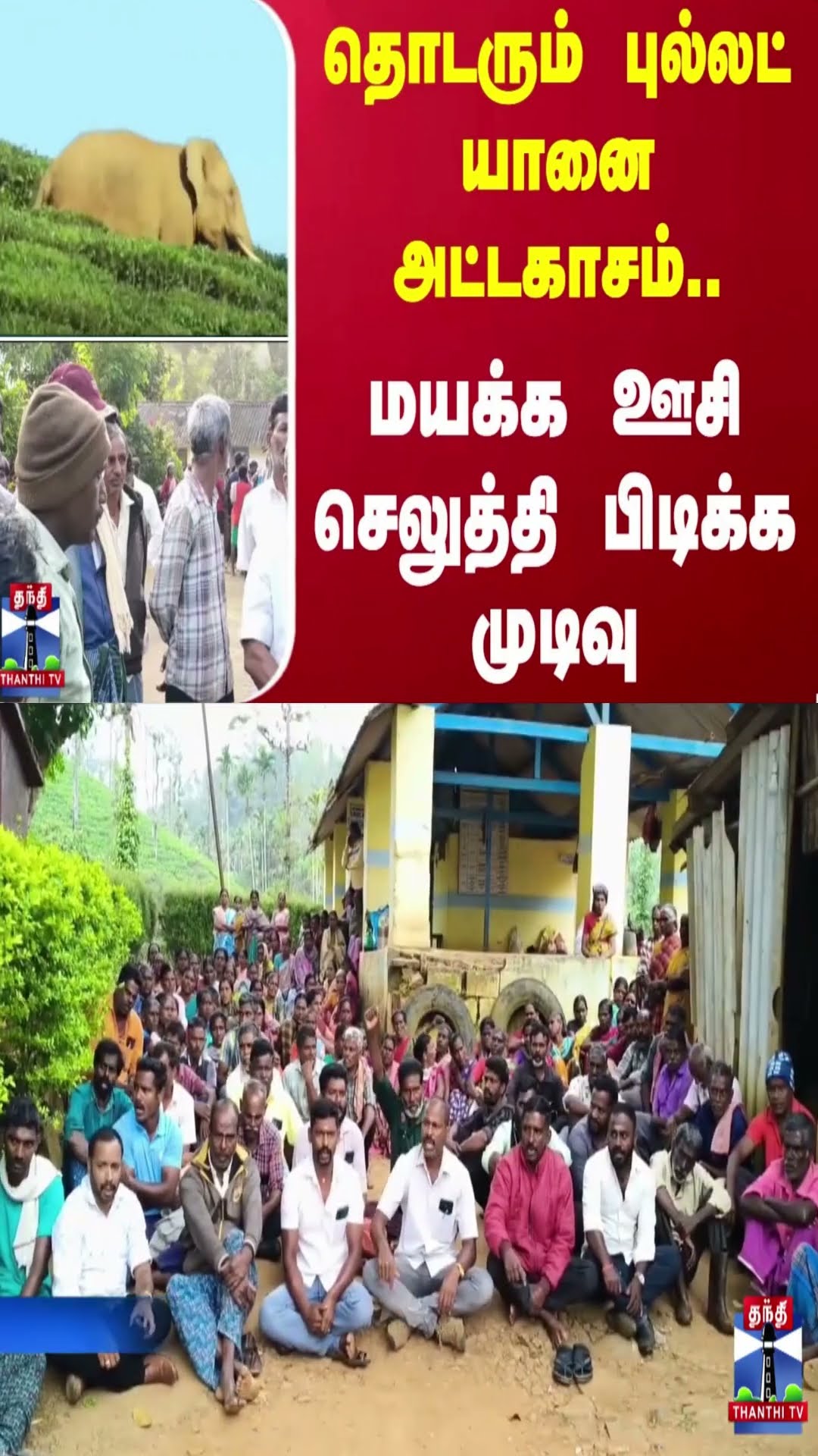 தொடரும் புல்லட் யானை அட்டகாசம்.. மயக்க ஊசி செலுத்தி பிடிக்க முடிவு