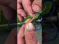 Fisherman’s Secret Knot That Leaves Everyone Shocked#fishing #fishingtips #fisherman #knots #hook