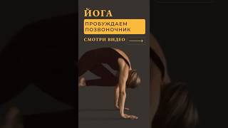ЛУЧШЕЕ УПРАЖНЕНИЕ ДЛЯ СПИНЫ
