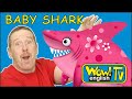 Baby Shark Song from Steve and Maggie for children | Wow English TV