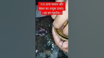 108 दाना चावल और केसर का अचूक उपाय। ।।हर हर महादेव।।