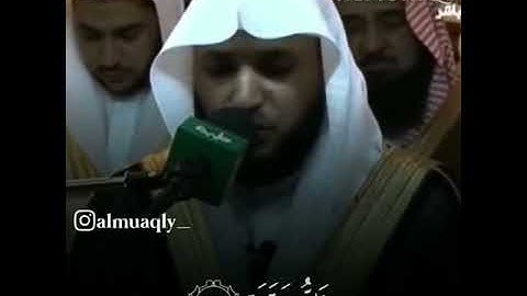 ماهر المعيقلي|تلاوه عطره من سورة البلد💗حالات واتساب دينيه💗مقاطع قرآنيه قصيره💗