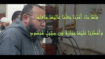 فلما جاء أمرنا جعلنا عاليها سافلها | تلاوة مؤثرة من سورة هود