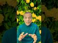 قوي صحتك مع محمد هريدي البروستاتا