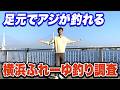 【神奈川/横浜】ふれーゆ裏でアジが釣れた！同日の東扇島西公園釣果もレポ どっちに行くべき？