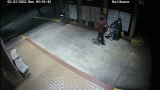 Mail Theft at 8888 Tallwood Dr Austin Tx - 2/21/2022