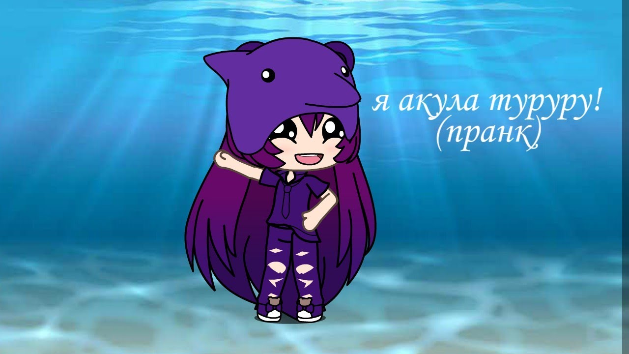 Туту туруру туту туруру. Акула туруруру. Акулёнок туруру. Туруру акулёнок туруру.