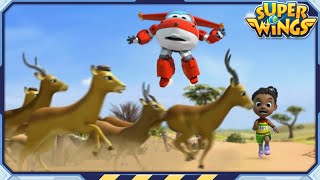 Superwings S1 Race Against Time Ep09 Superwings Super Wings