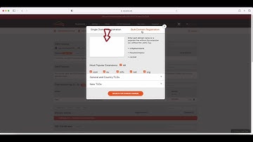 How to register a new Domain Name with ClouDNS?