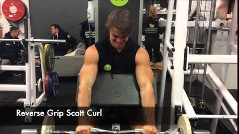 Exercise: Reverse Grip Scott Curl